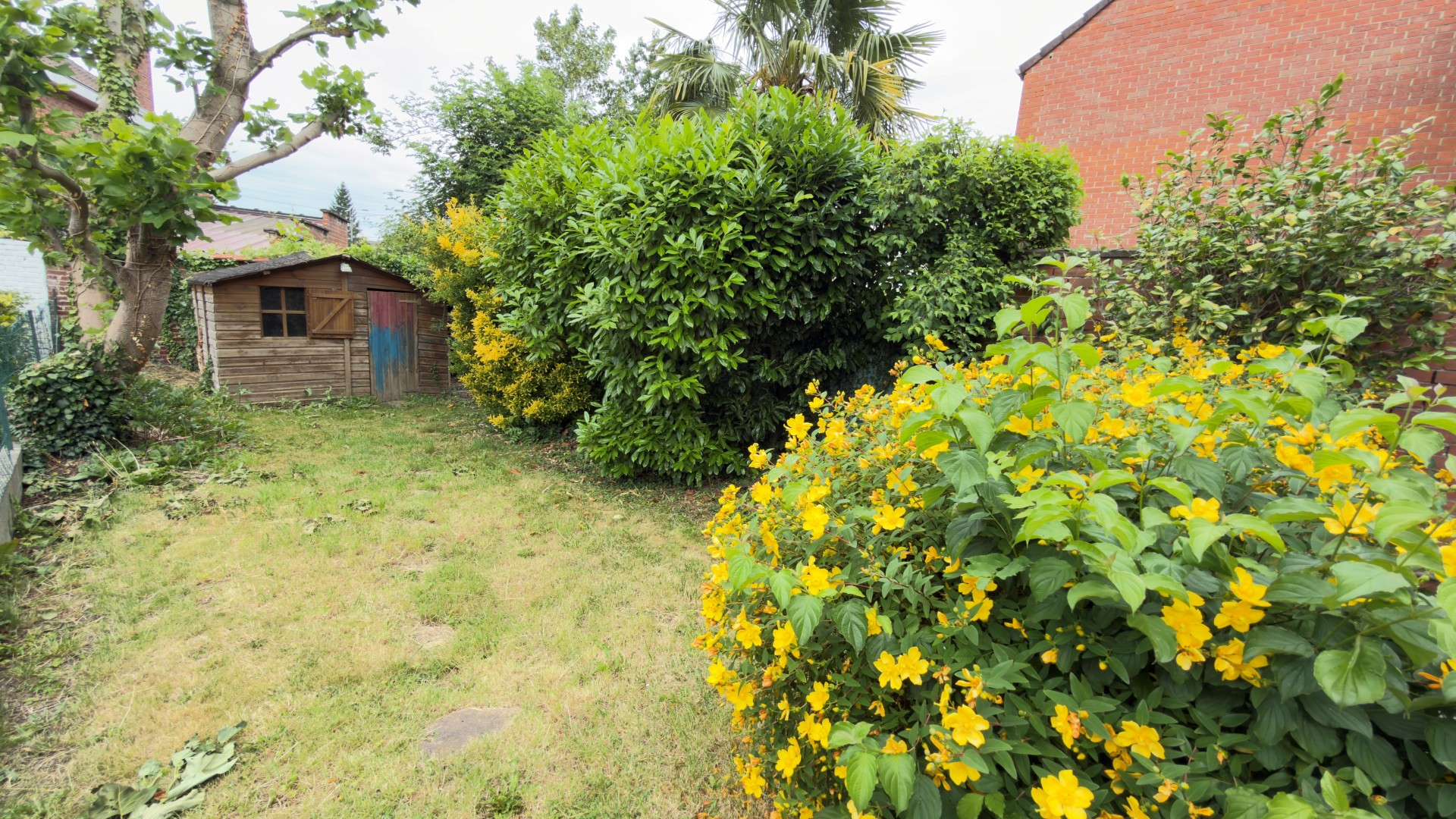vente maison LOMME