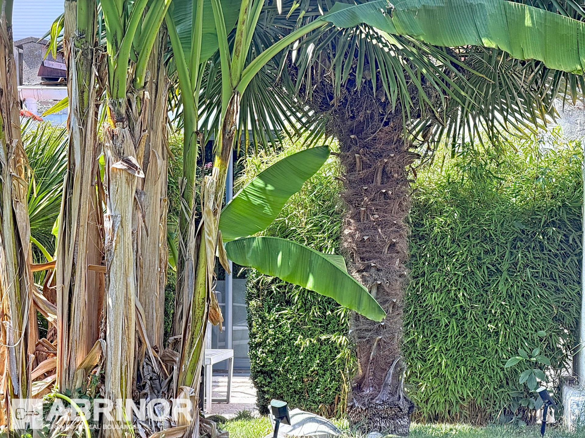 vente maison MARCQ EN BAROEUL