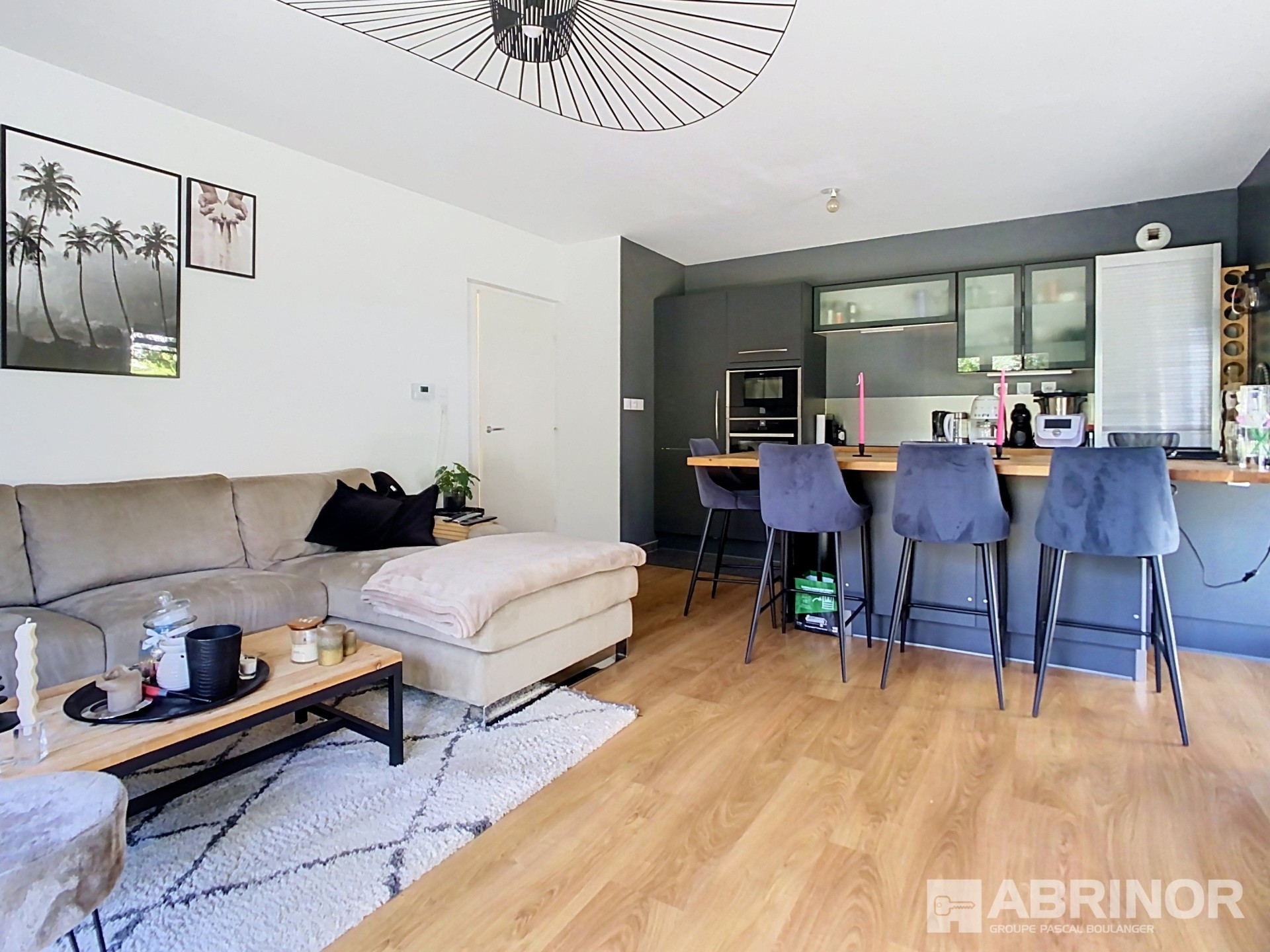 location appartement FACHES THUMESNIL