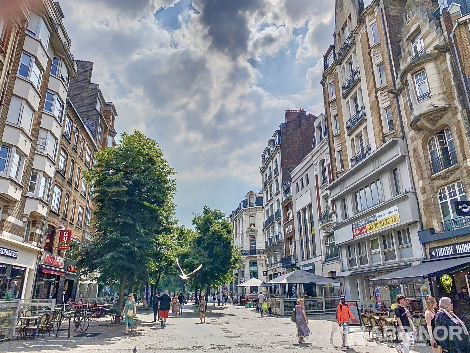 location appartement LILLE