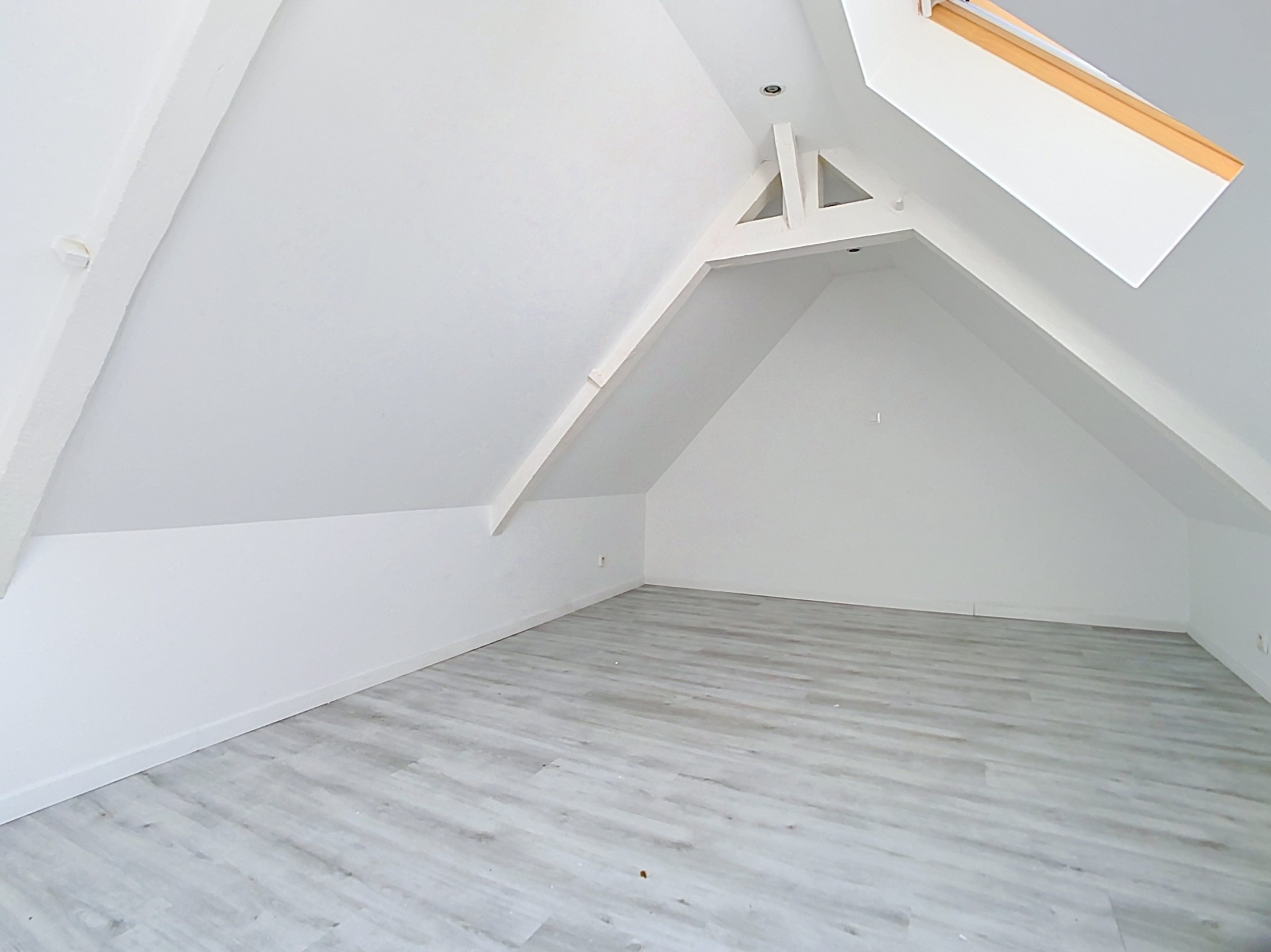 location appartement COUTICHES