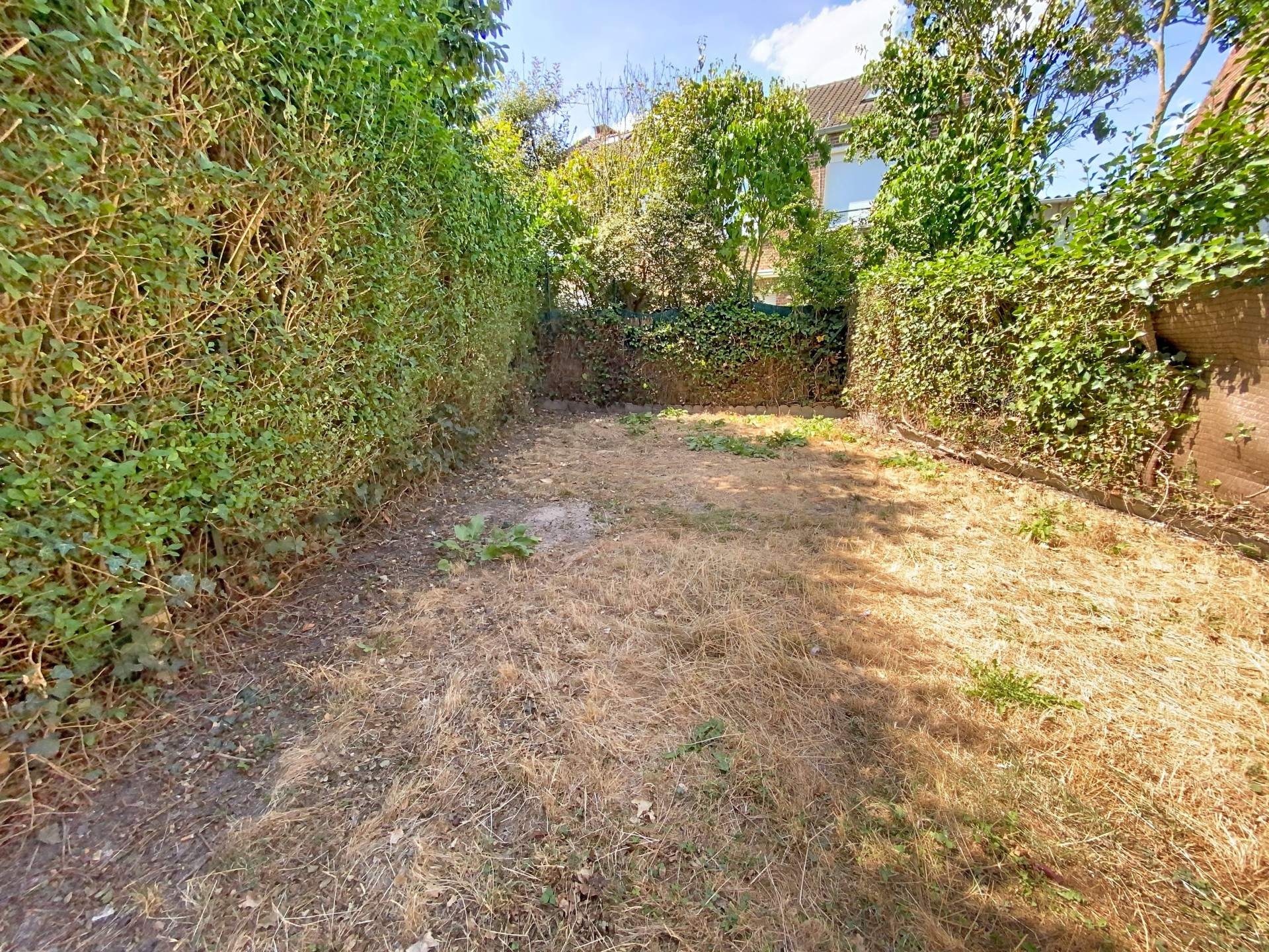 vente maison ORCHIES