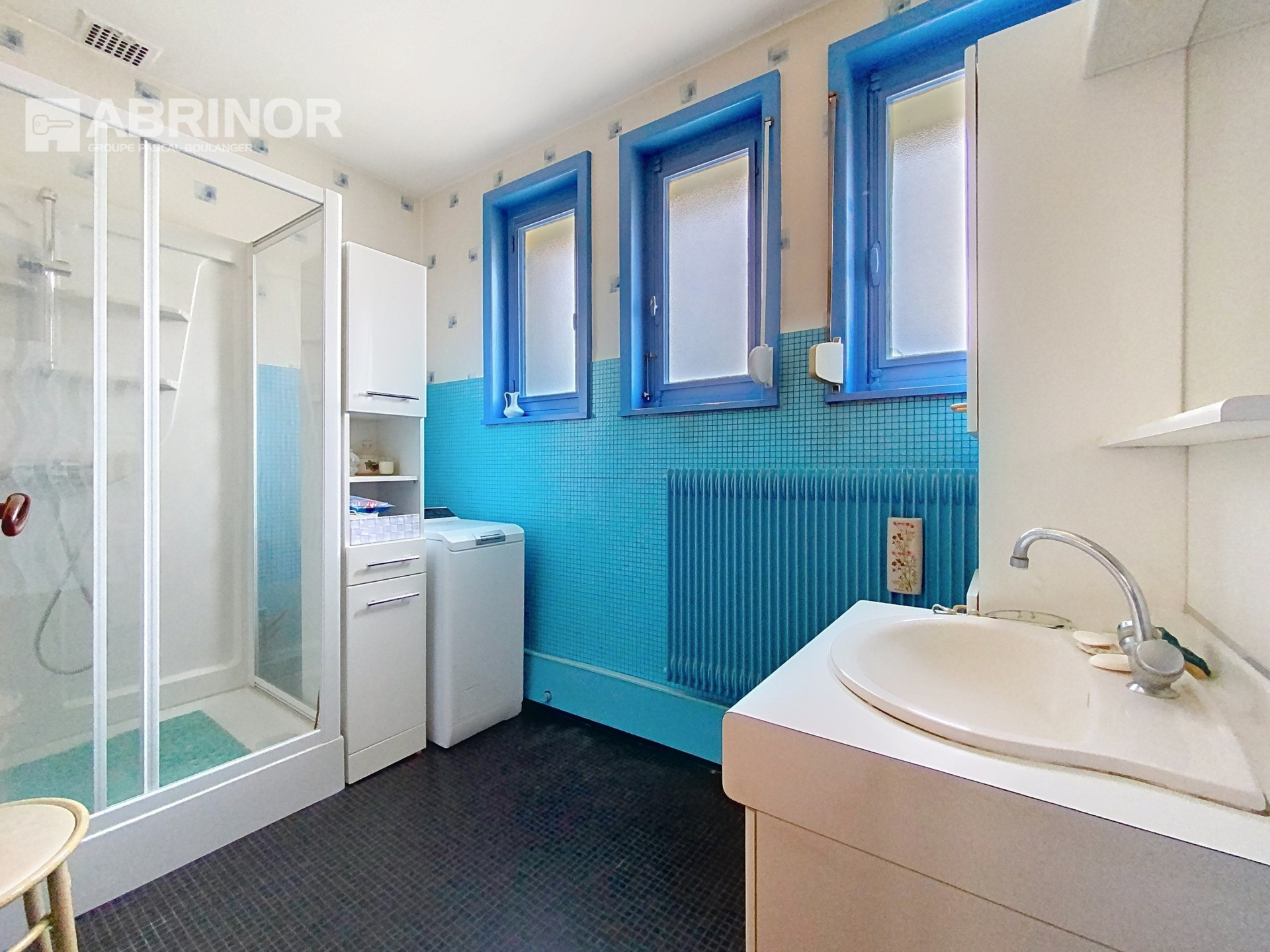 vente maison FACHES THUMESNIL