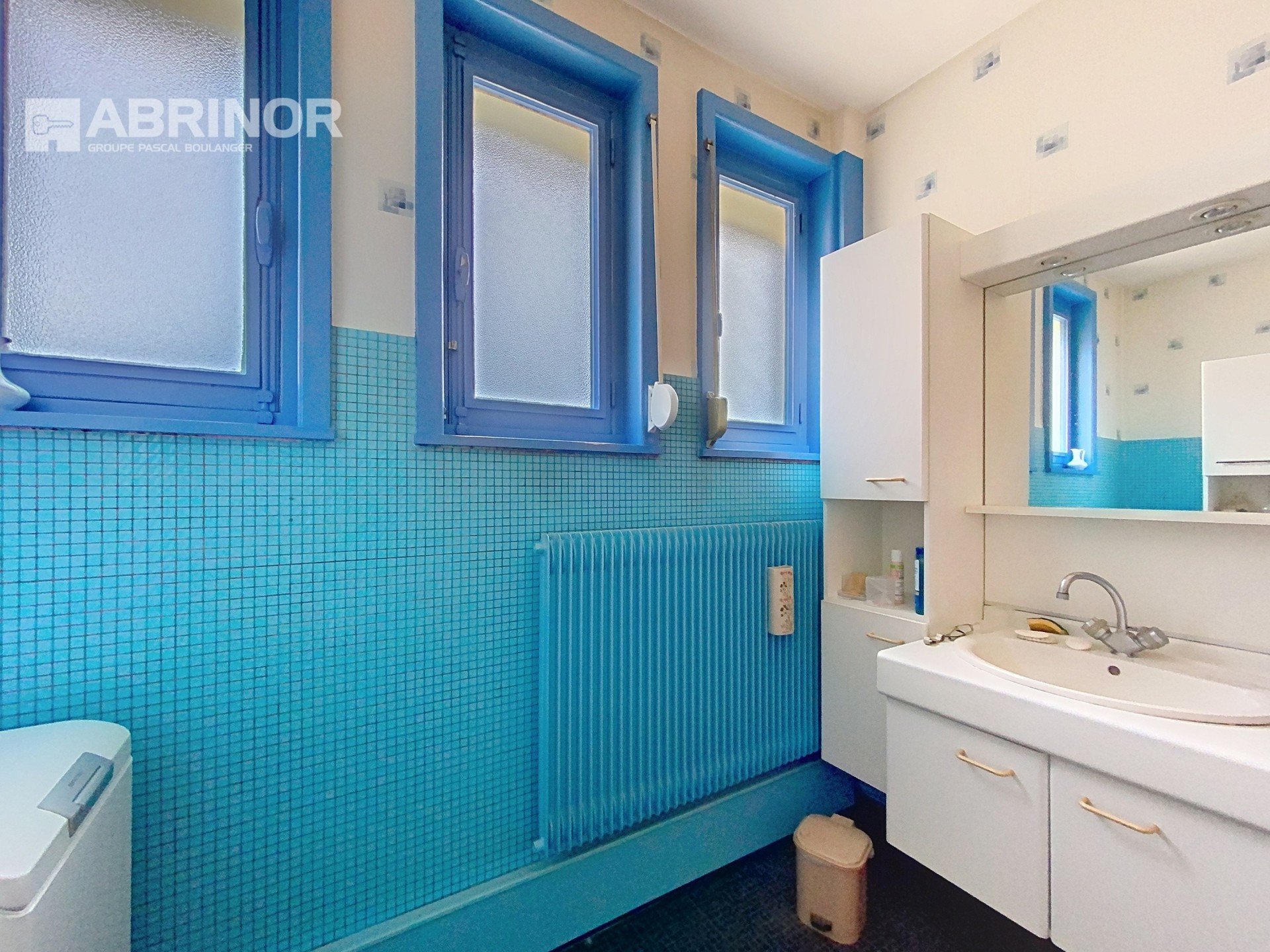 vente maison FACHES THUMESNIL