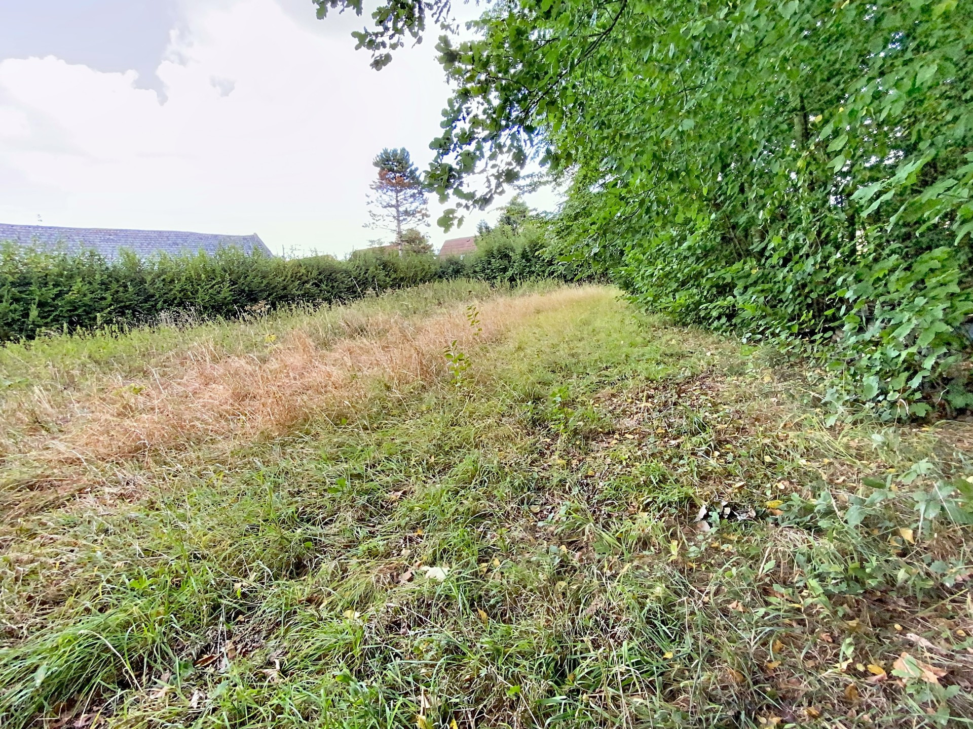 vente terrain TILLOY LEZ MARCHIENNES