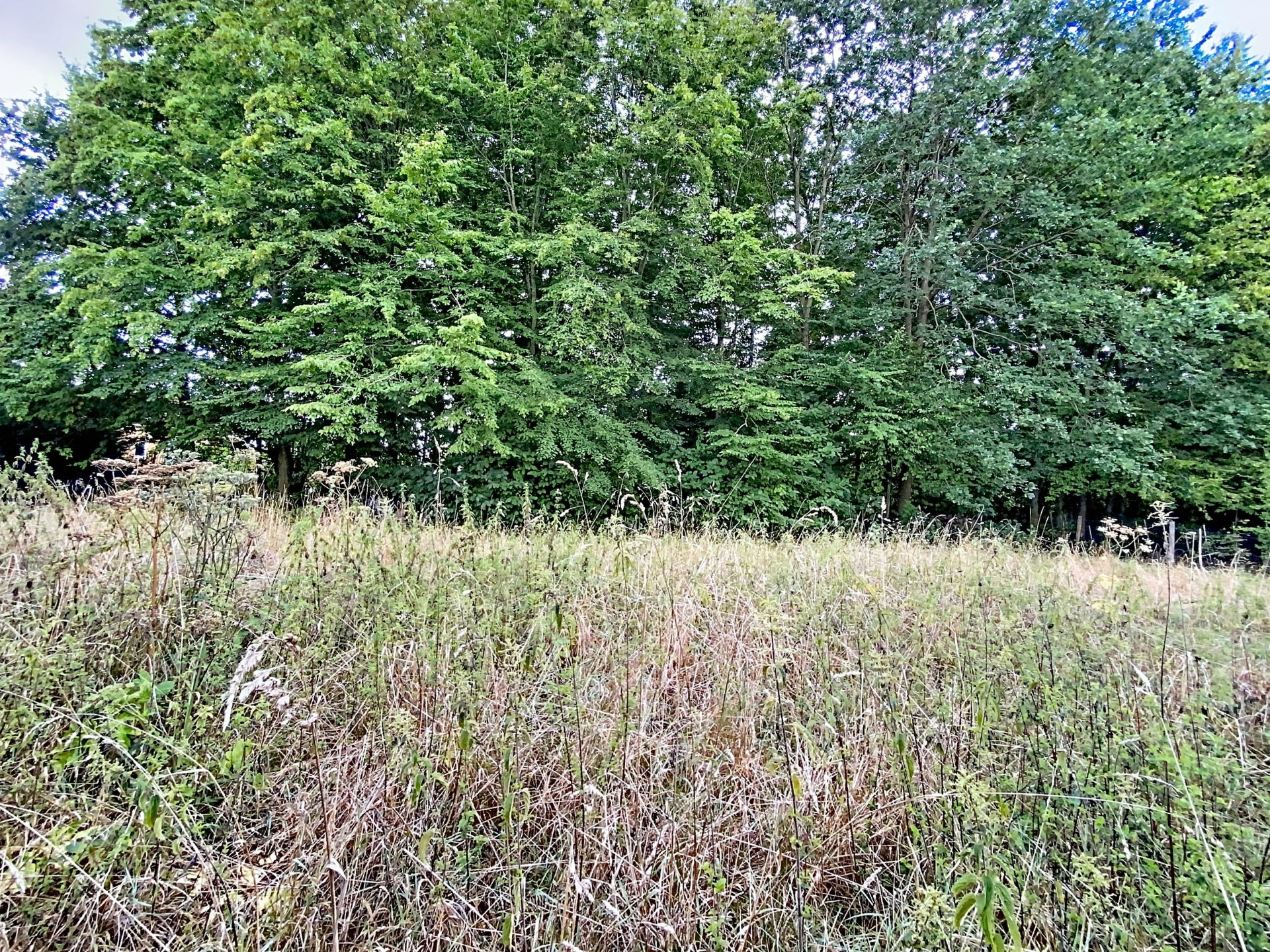 vente terrain TILLOY LEZ MARCHIENNES