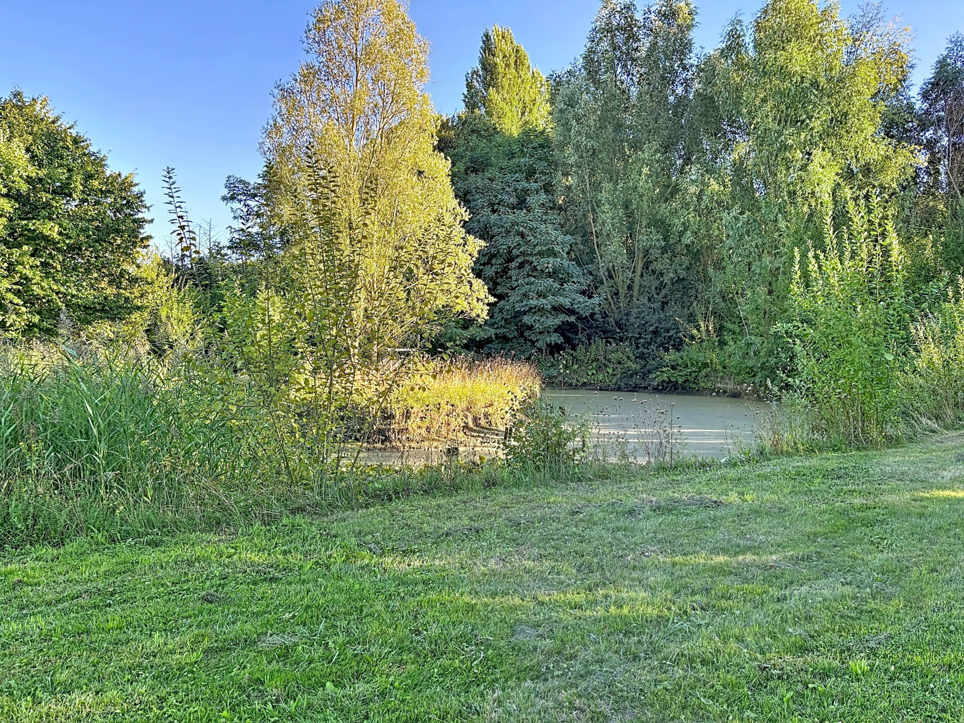 vente maison LA CHAPELLE D ARMENTIERES