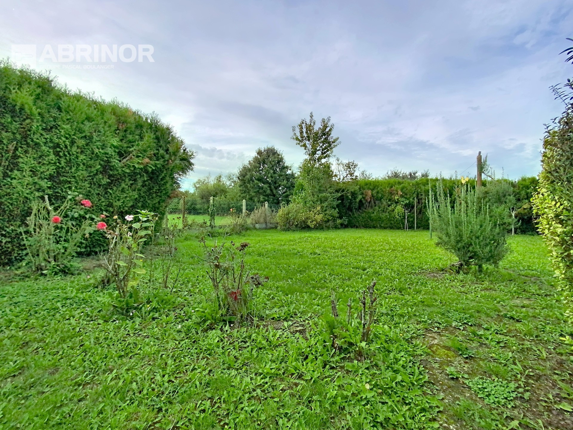 vente maison TEMPLEUVE EN PEVELE