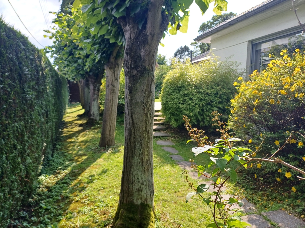 Maison en vente à MARCQ EN BAROEUL — photo 2