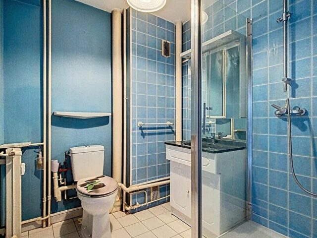 Appartement en vente à FACHES THUMESNIL — photo 5