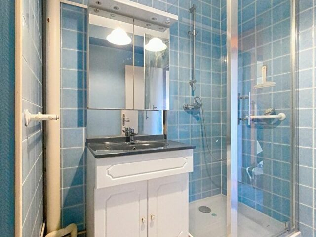 Appartement en vente à FACHES THUMESNIL — photo 6