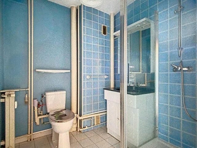 Appartement en vente à FACHES THUMESNIL — photo 17