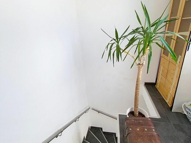 Maison en vente à FACHES THUMESNIL — photo 11