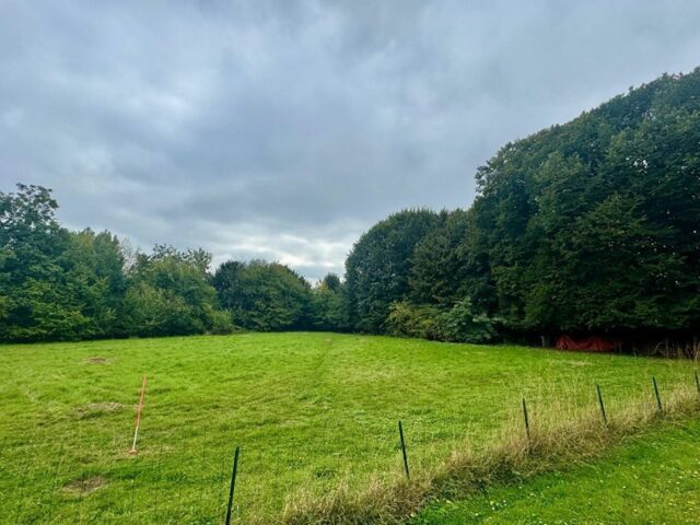 Terrain en vente à VILLENEUVE D ASCQ — photo 2
