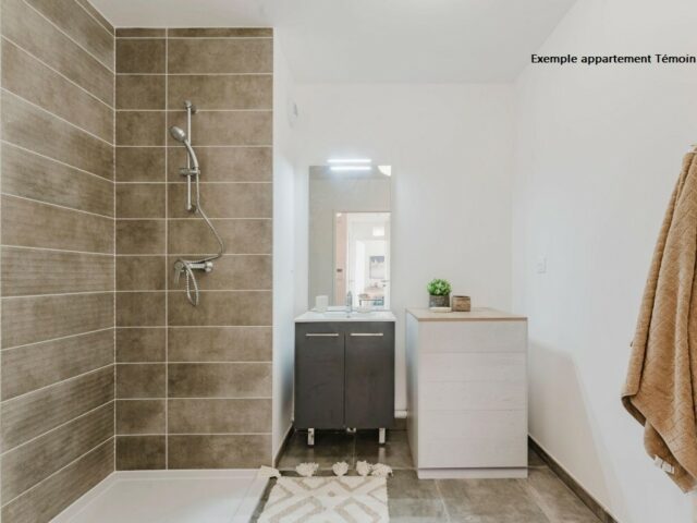 Appartement en vente à ORCHIES — photo 4