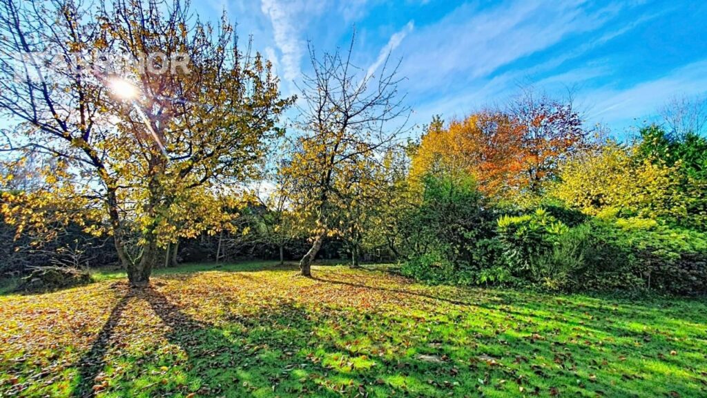 Maison en vente à NOMAIN — photo 6