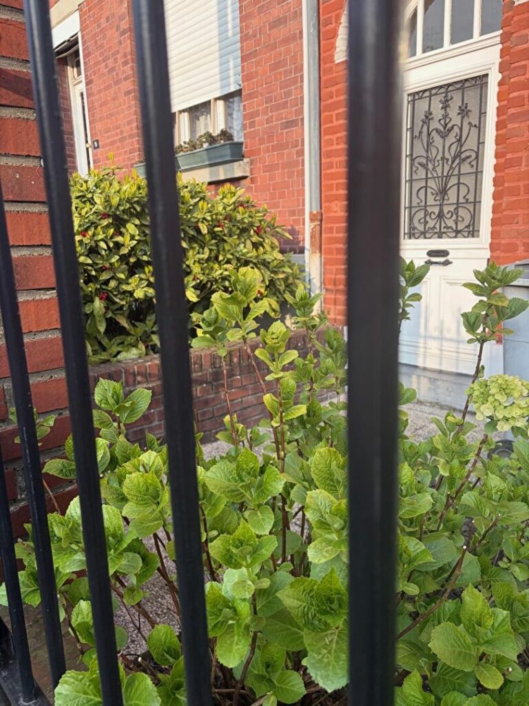Maison en vente à LAMBERSART — photo 1