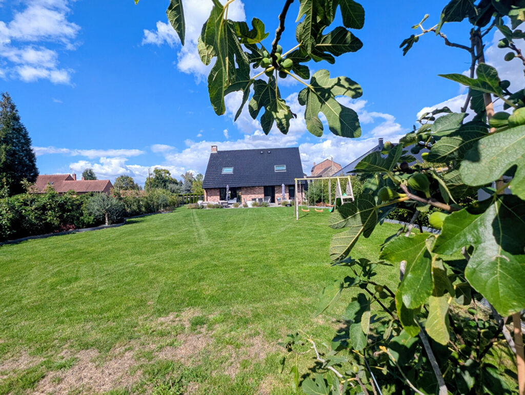 Maison en vente à WARLAING — photo 12
