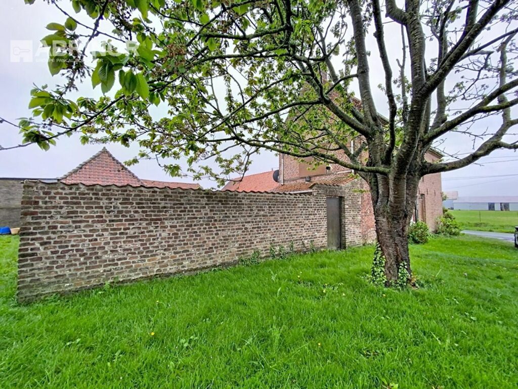 Maison en vente à TEMPLEUVE EN PEVELE — photo 17
