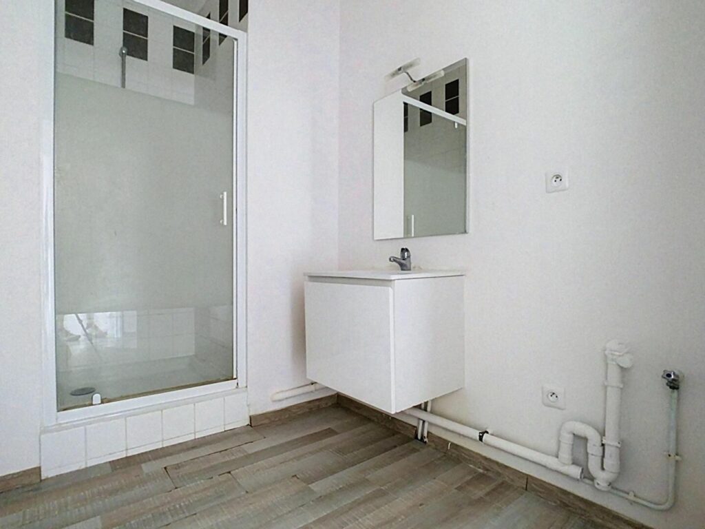 Appartement en vente à HELLEMMES LILLE — photo 5