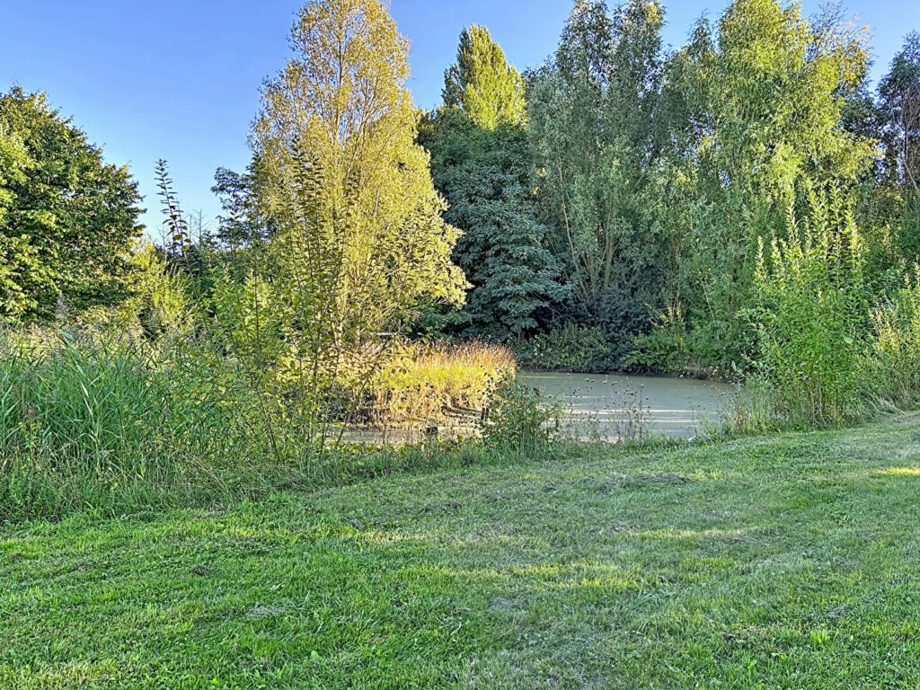 Maison en vente à LA CHAPELLE D ARMENTIERES — photo 8